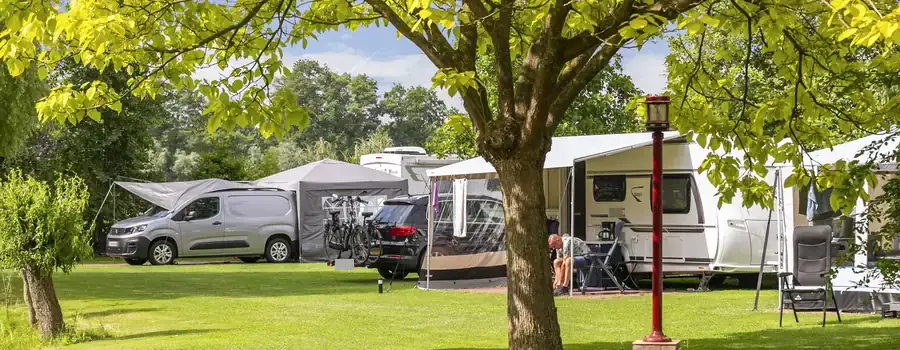 Caravans onder een grote boom op het terrein