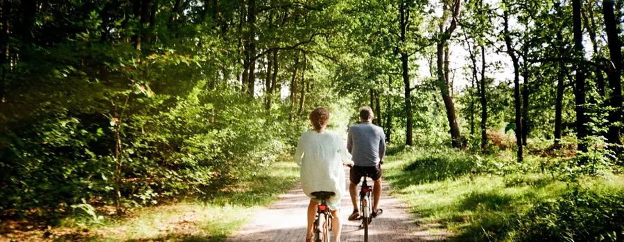 Twee fietsers op een zonnig zandpad tussen de bomen