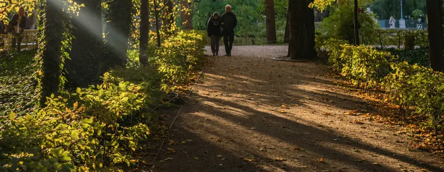 Een laan met herfstkleuren waar de zon doorheen valt
