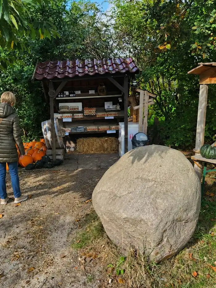 Het kraampje aan de weg met verse eieren en aardbeien