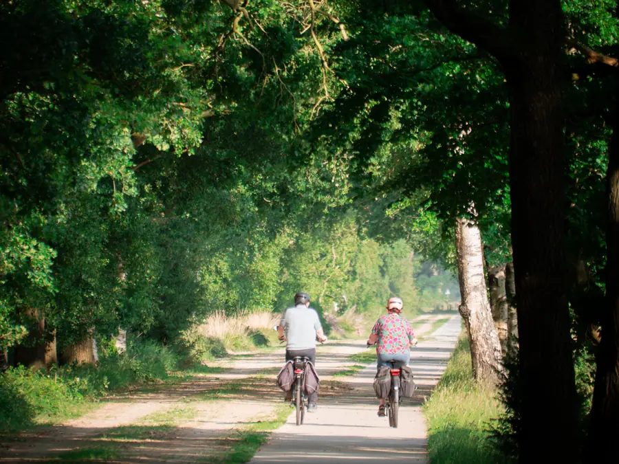 Twee fietsers in een laan met dicht groen aan weerszijden