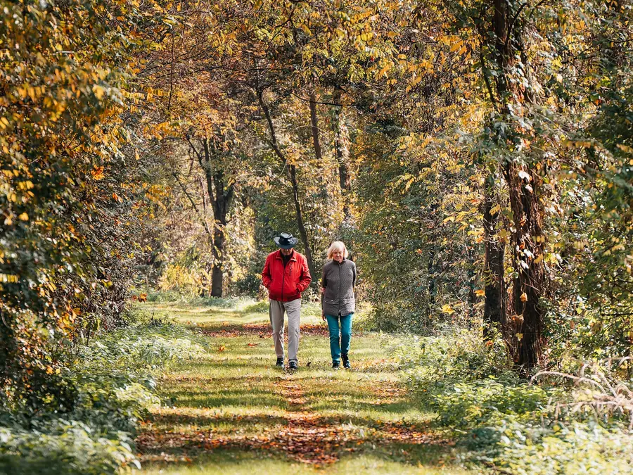 Twee wandelaars in een laan met gele herfstbladeren