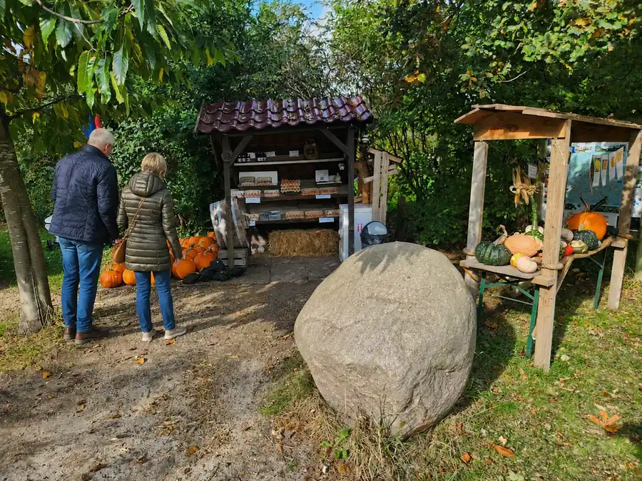 Het kraampje aan de weg met verse eieren en aardbeien