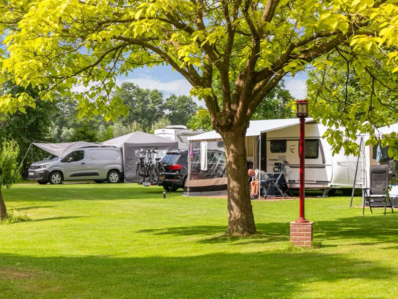 Caravans met voortent op het veld, met de auto's ernaast en een rode lantaarnpaal bij de boom