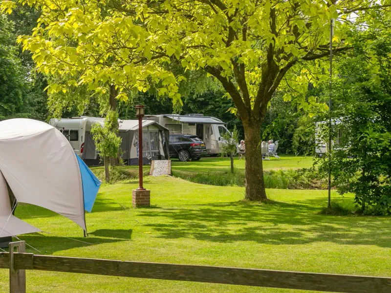 Een tent op de voorgrond en caravans onder de grote boom, met een lantaarnpaal ertussen